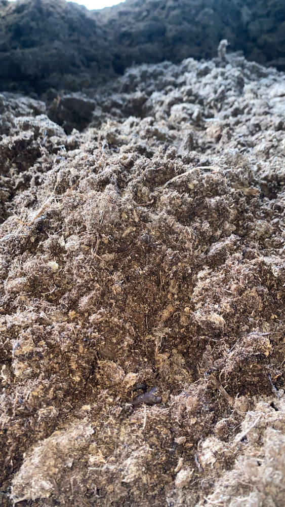 White BFOLE Peat Moss