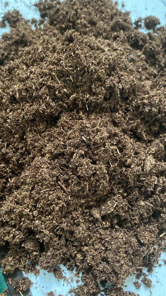 Black S50 Peat Moss