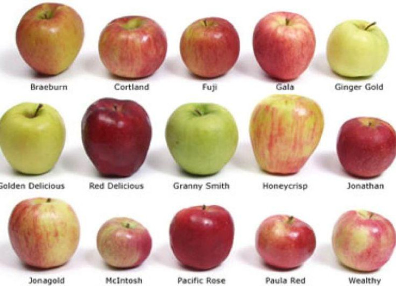 Red apple Jonthan