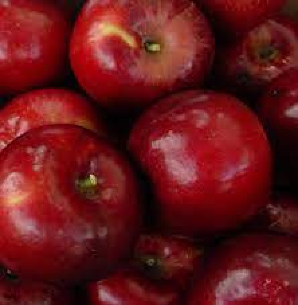 Red apple Jonthan