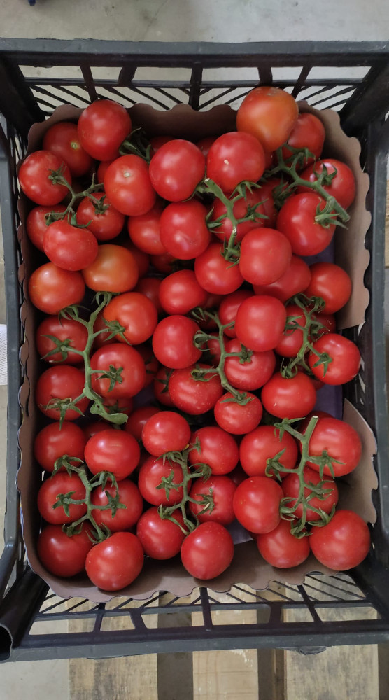 Cherry tomatoes