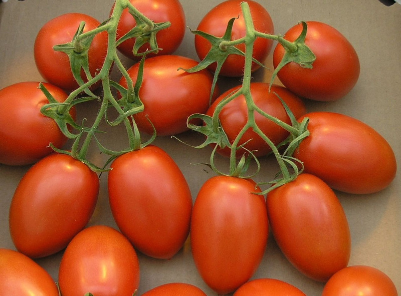 Italian tomatoes