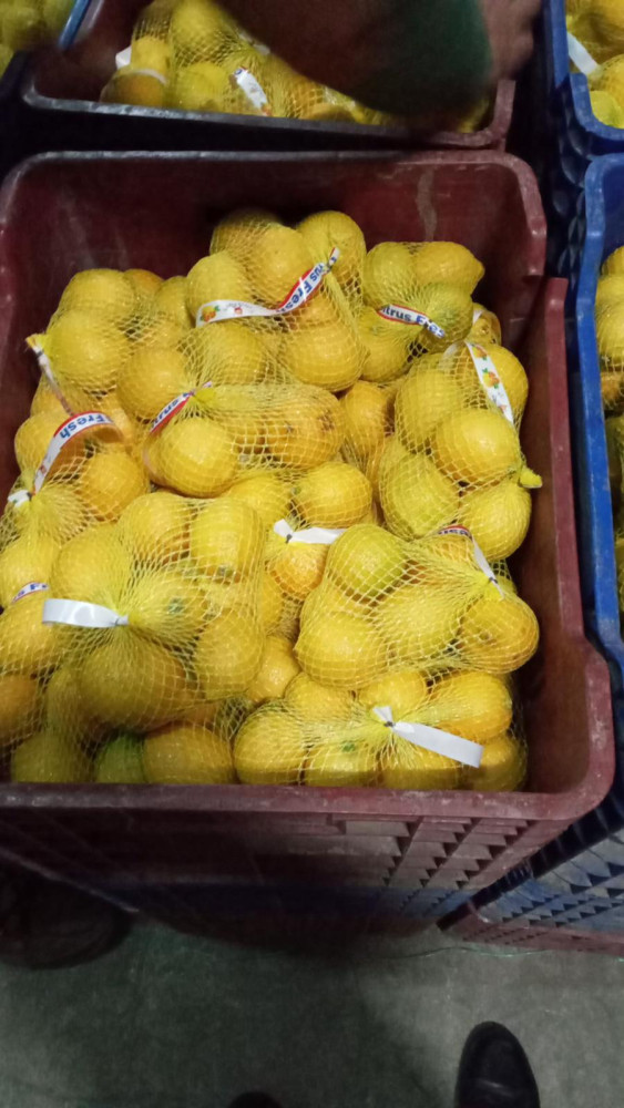 Lamas Lemon