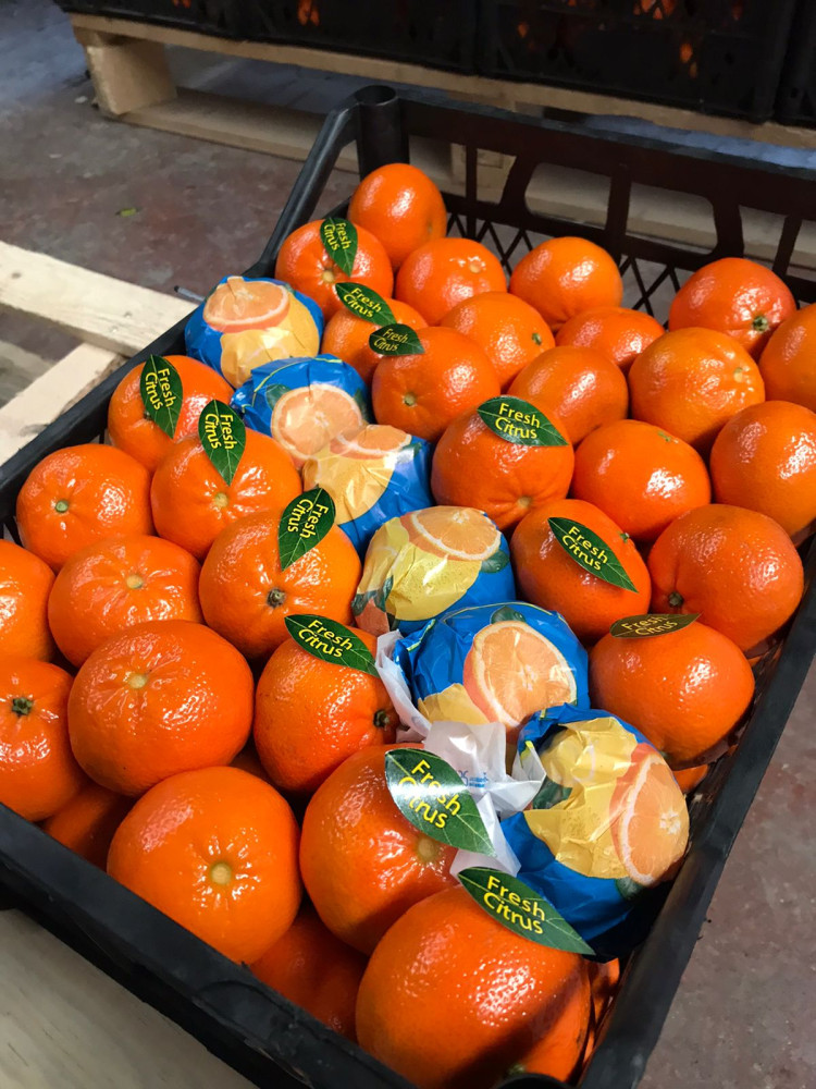 W Murcott Mandarin
