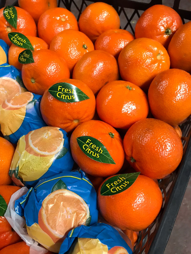 W Murcott Mandarin