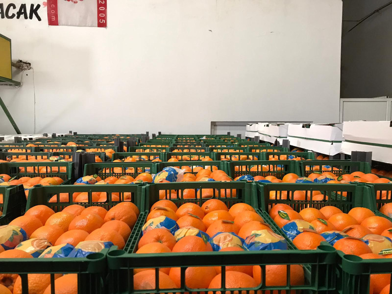 Washington Orange